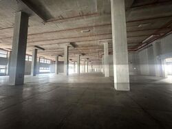 Imm Building (D22), Warehouse #565741091
